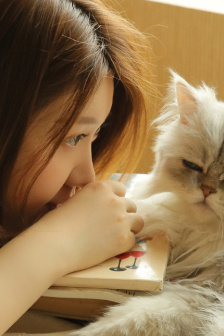 你是我的女人6免费观看5集